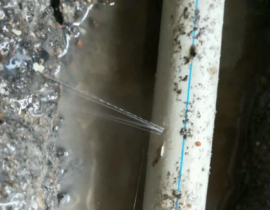 南丹测漏水哪家好