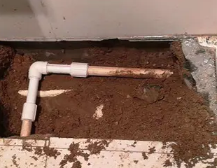 南丹测漏水哪家好