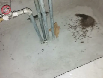 南丹卫生间测漏水价格明细