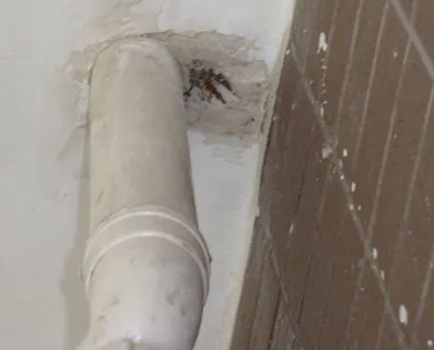 南丹漏水检测哪家好